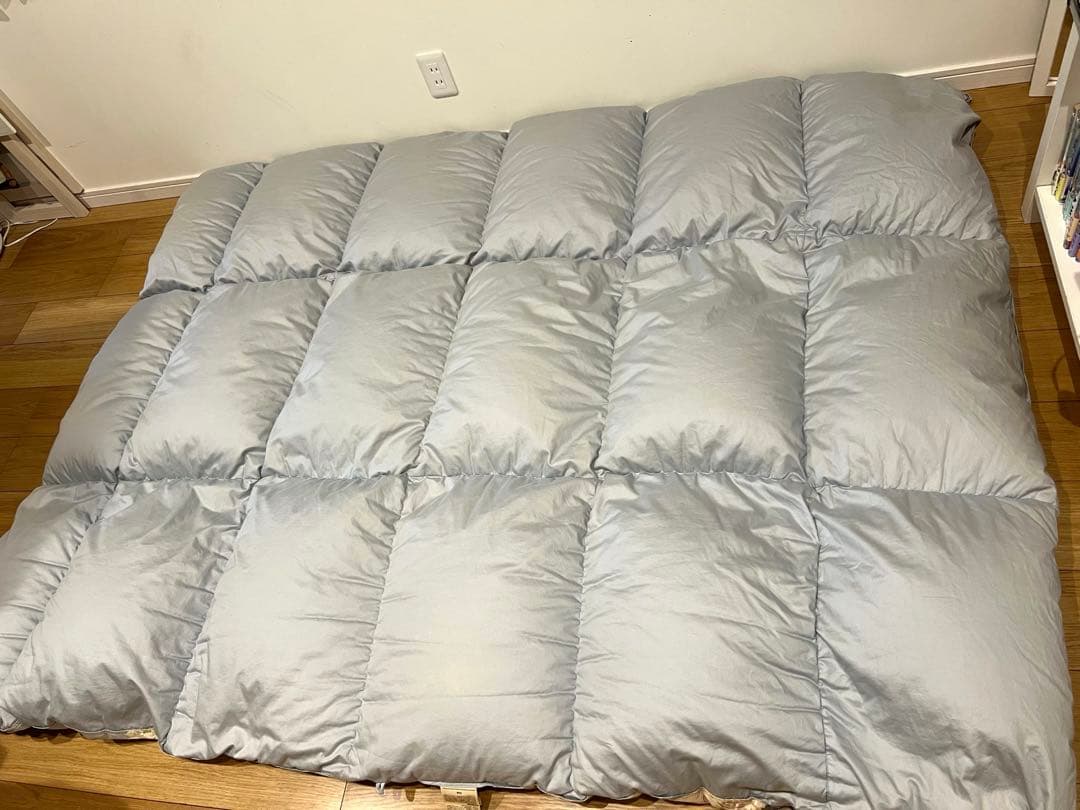 ロマンス小杉　ポーランドグースダウン95% セミダブル+大阪西川ダブルの2枚