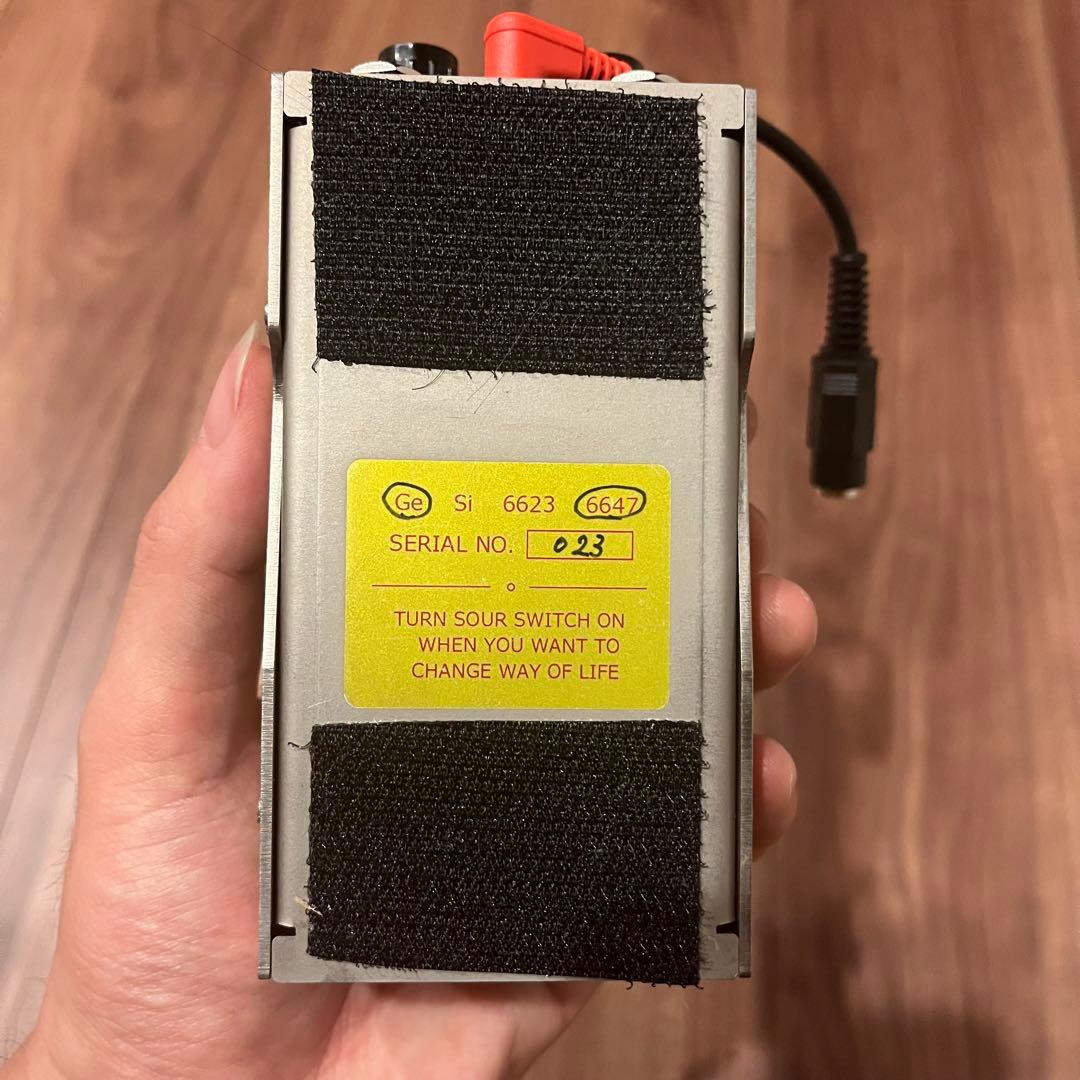 希少　Lemon & Ginger Ammonite Fuzz 6647 ゲルマ