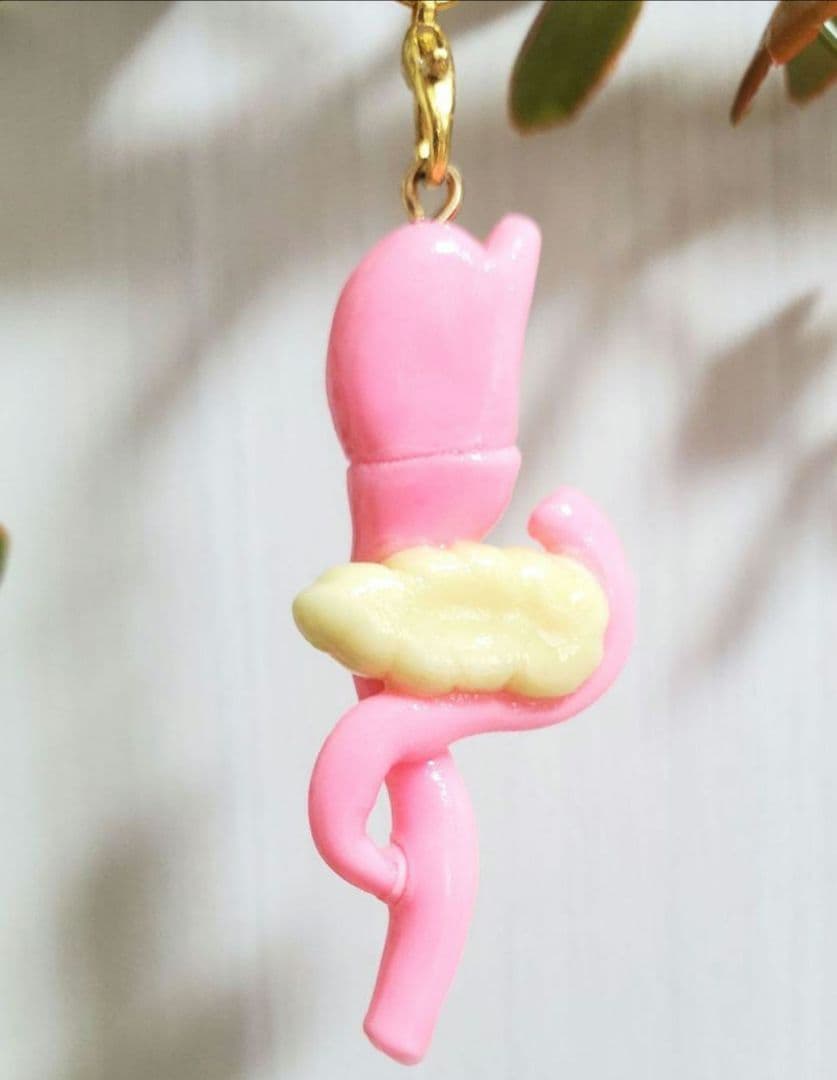 胃切除 ルーワイ 手作り 臓器 キーホルダー ハンドメイド - メルカリ