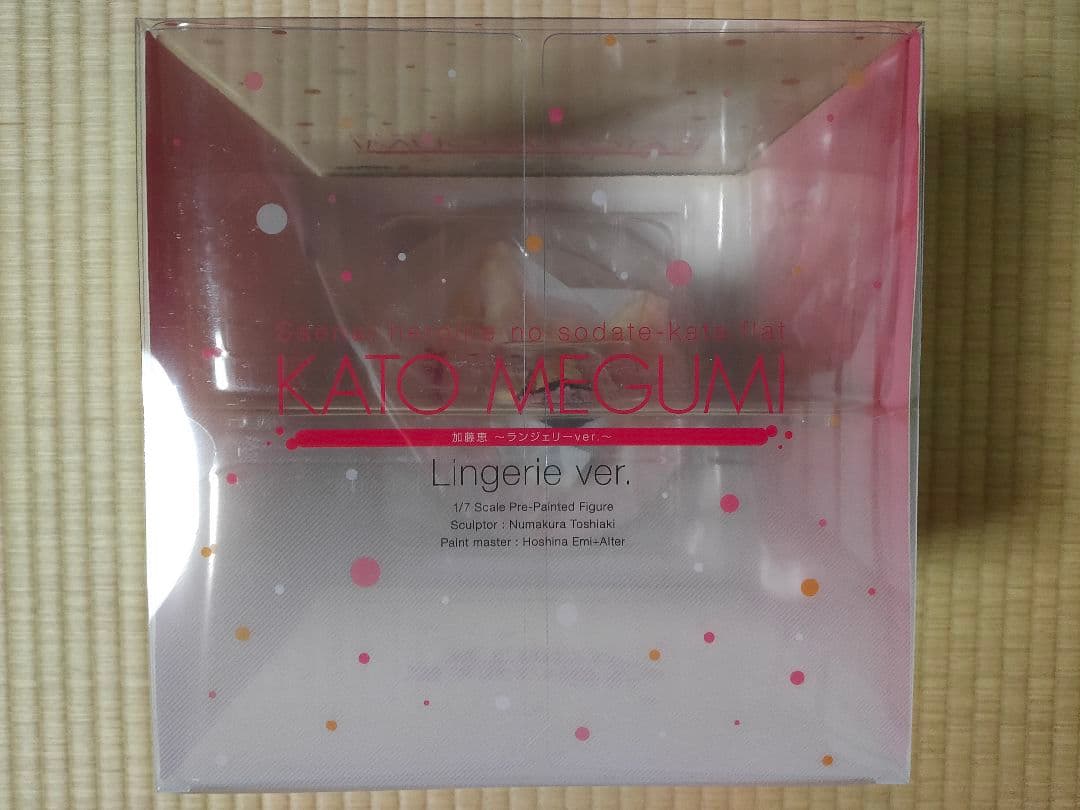 未開封　冴えない彼女の育てかた♭ ランジェリーver. アルター