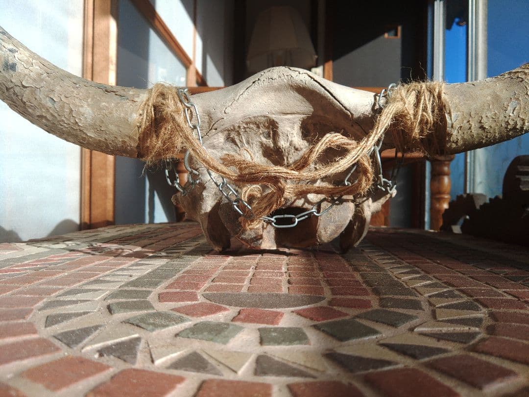 希少　スカルヘッド　バッファロー　本物　頭蓋骨　ヴィンテージ　アンティーク