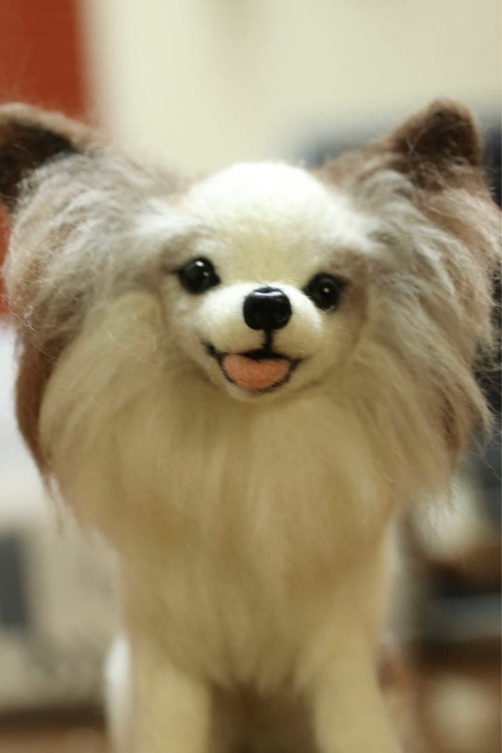 羊毛フェルト　パピヨン