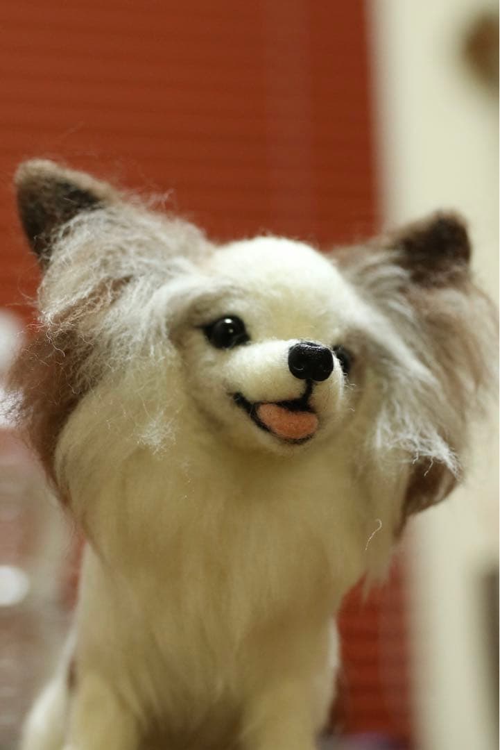 羊毛フェルト　パピヨン