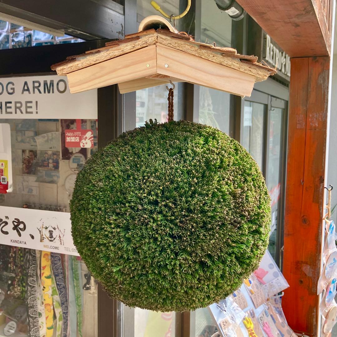 杉玉【屋根付き】① - メルカリ