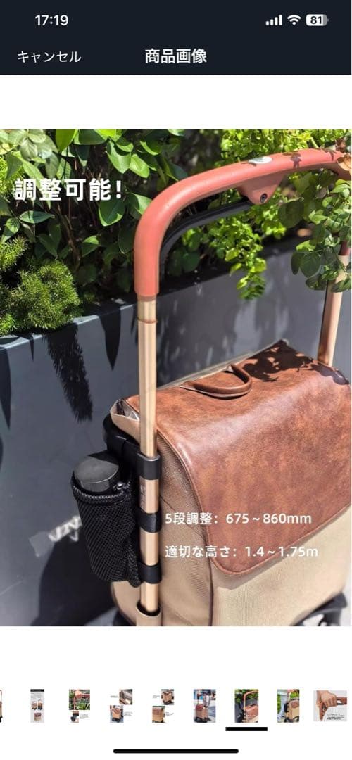 キャリーカート　シルバーカー 杖代わり