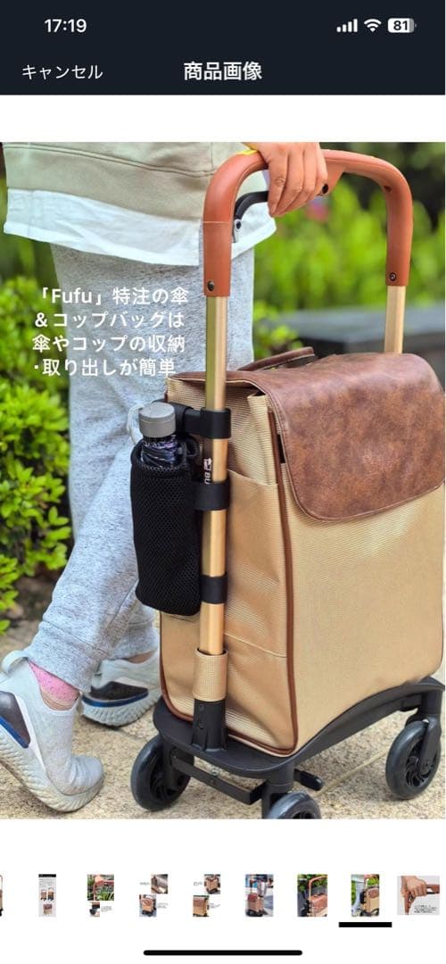 キャリーカート　シルバーカー 杖代わり