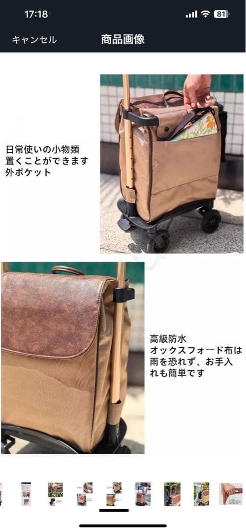 キャリーカート　シルバーカー 杖代わり