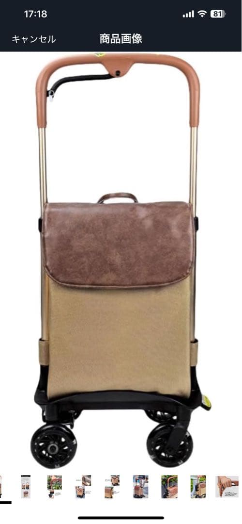キャリーカート　シルバーカー 杖代わり