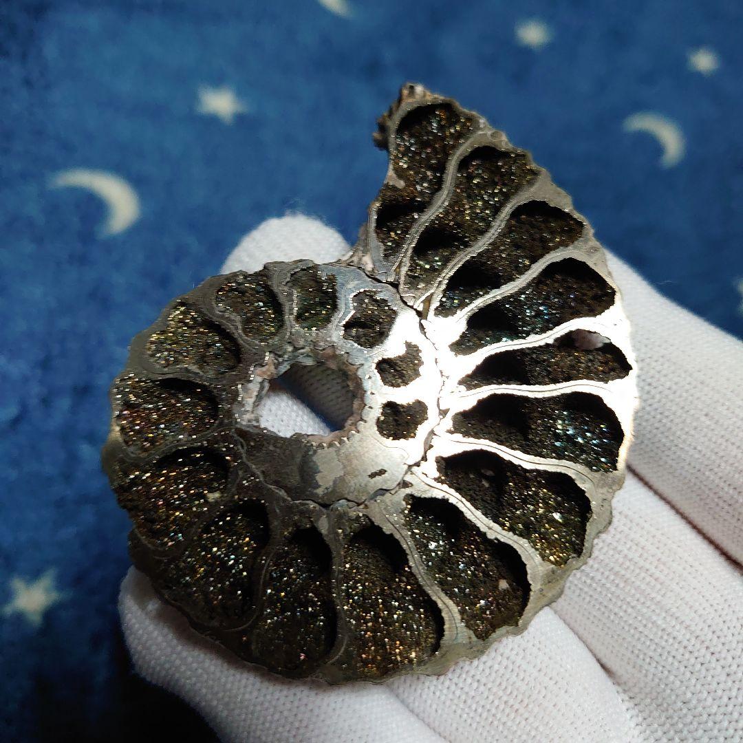 黄鉄鉱化アンモナイト　化石　ハーフカット　ロシア産　ミハイロフスキー採石場