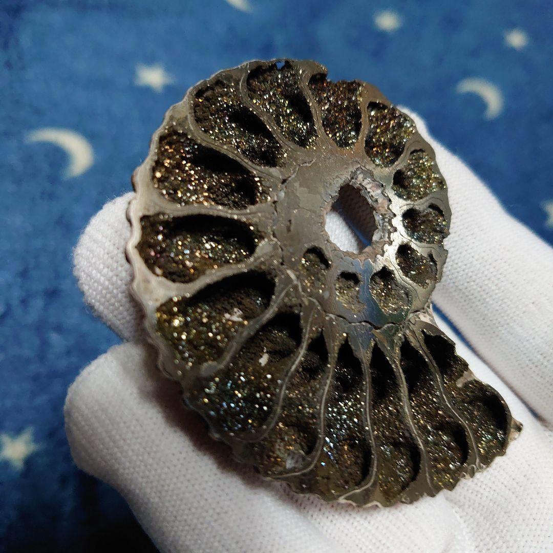 黄鉄鉱化アンモナイト　化石　ハーフカット　ロシア産　ミハイロフスキー採石場