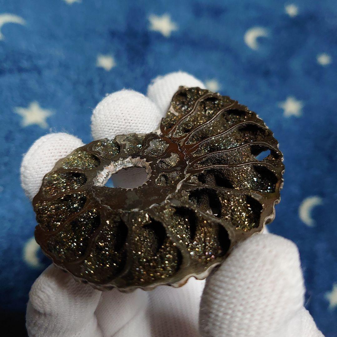 黄鉄鉱化アンモナイト　化石　ハーフカット　ロシア産　ミハイロフスキー採石場