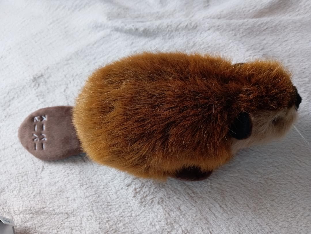 スーパービーバーちゃん - メルカリ