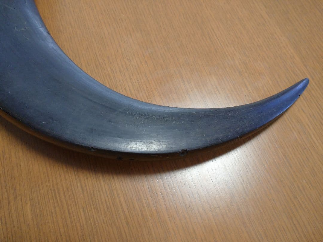 水牛の角