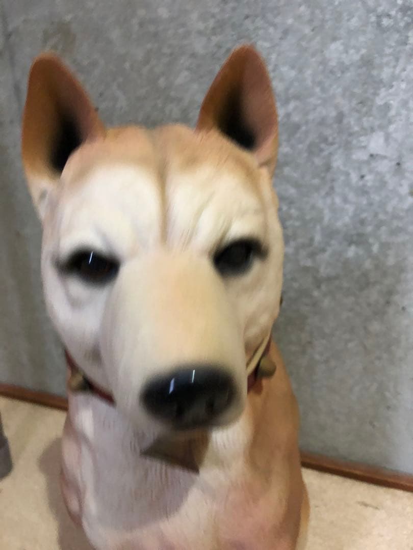 リアル柴犬　柴犬　置物　犬の置き物