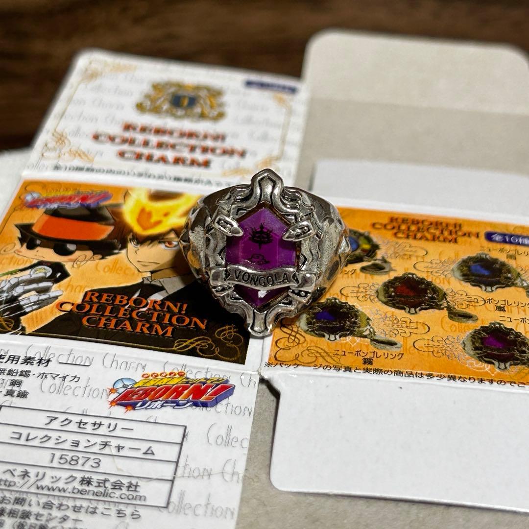 家庭教師ヒットマンREBORN! 雲のリング 雲雀恭弥 ボンゴレリング