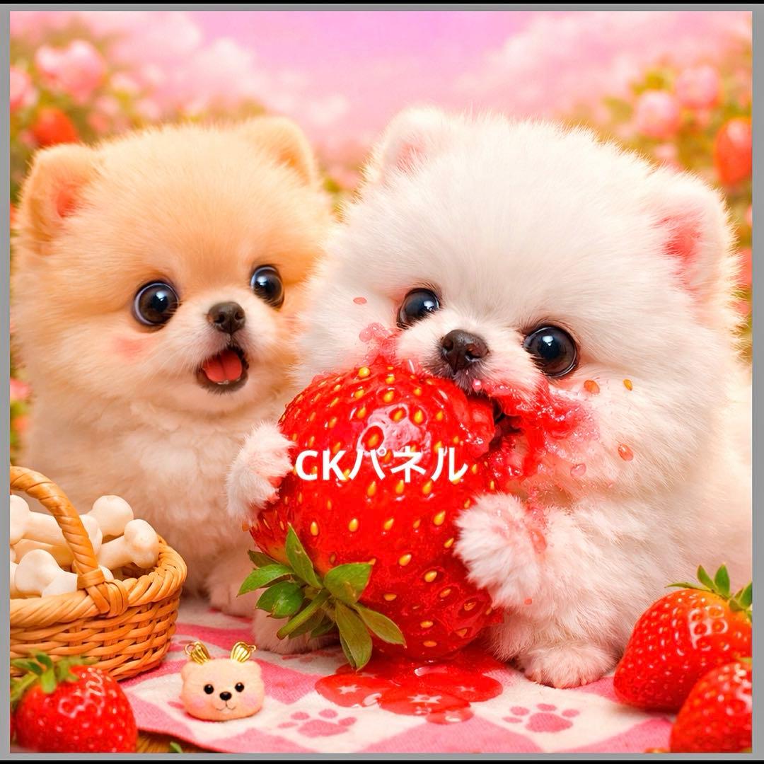 新柄♥️期間限定レアパネル生地 6犬種パネル生地 6柄セット CKパネル