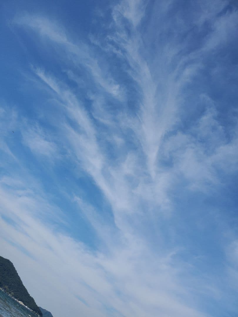 約520gあり ゼッカデソーザ産 水晶クラスター