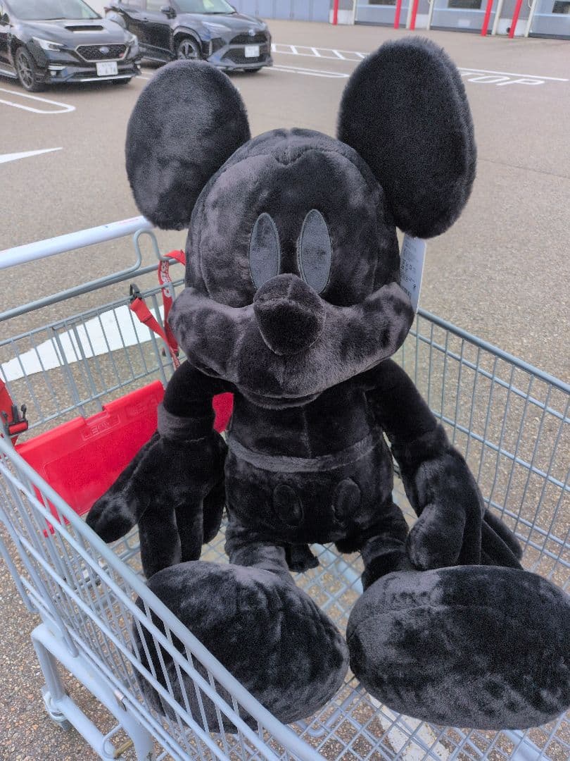 コストコ様今年新発売の白と黒のミッキー ダンボール発送 - メルカリ