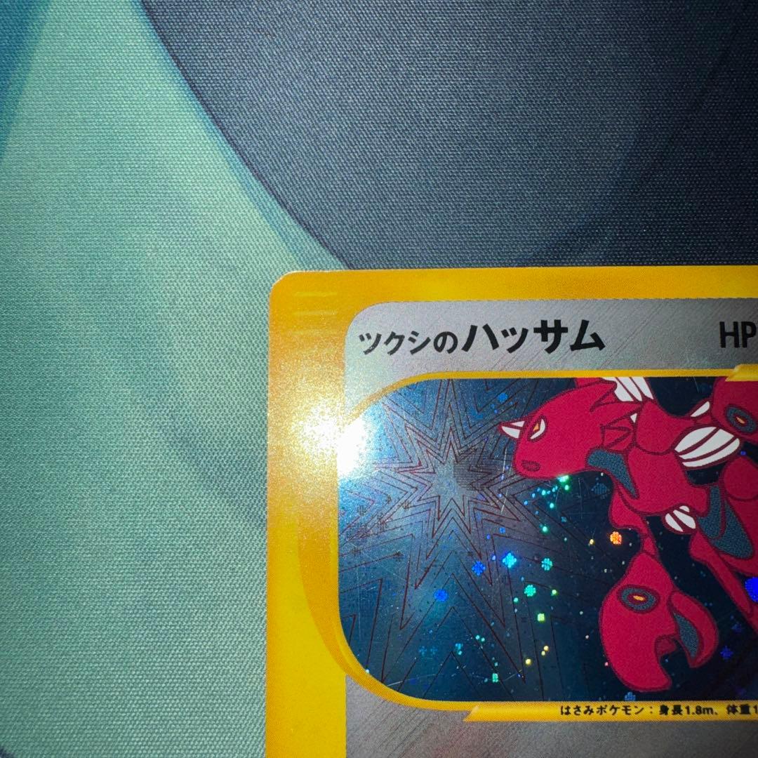 ツクシのハッサム Vs - メルカリ