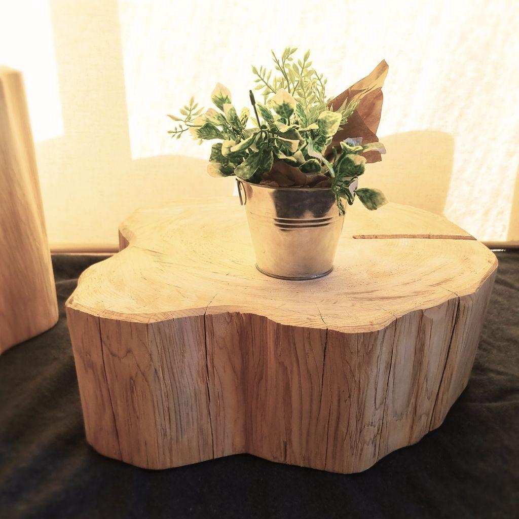 超特大 幅52cm ひのきの切株テーブル
