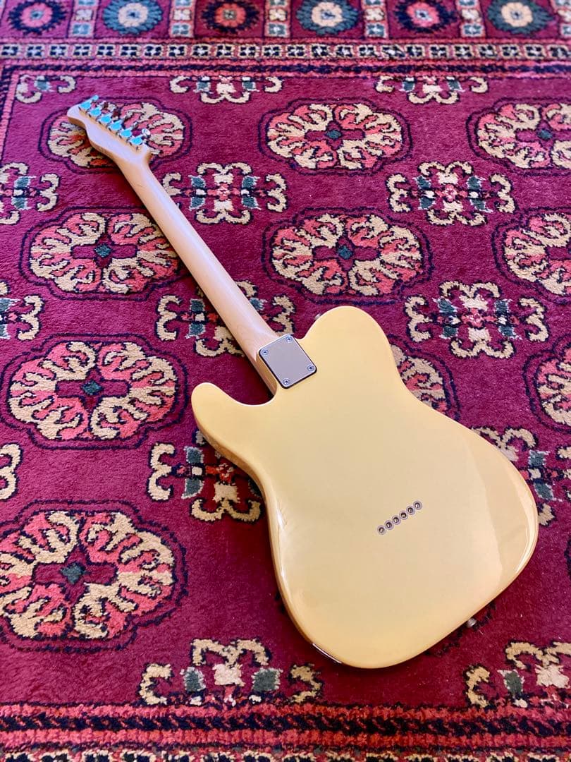 Bacchus Universe Series テレキャスター