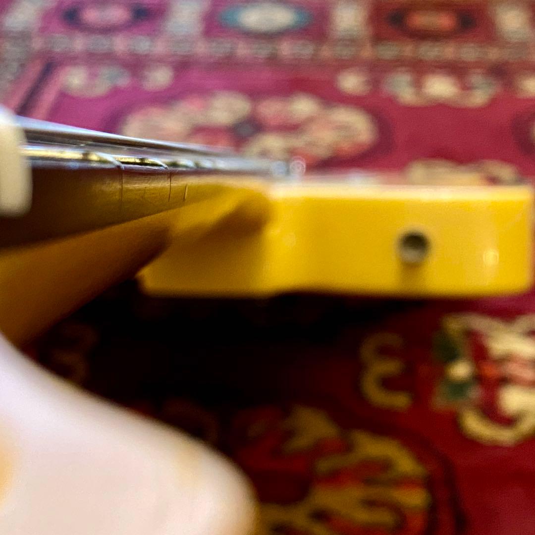 Bacchus Universe Series テレキャスター