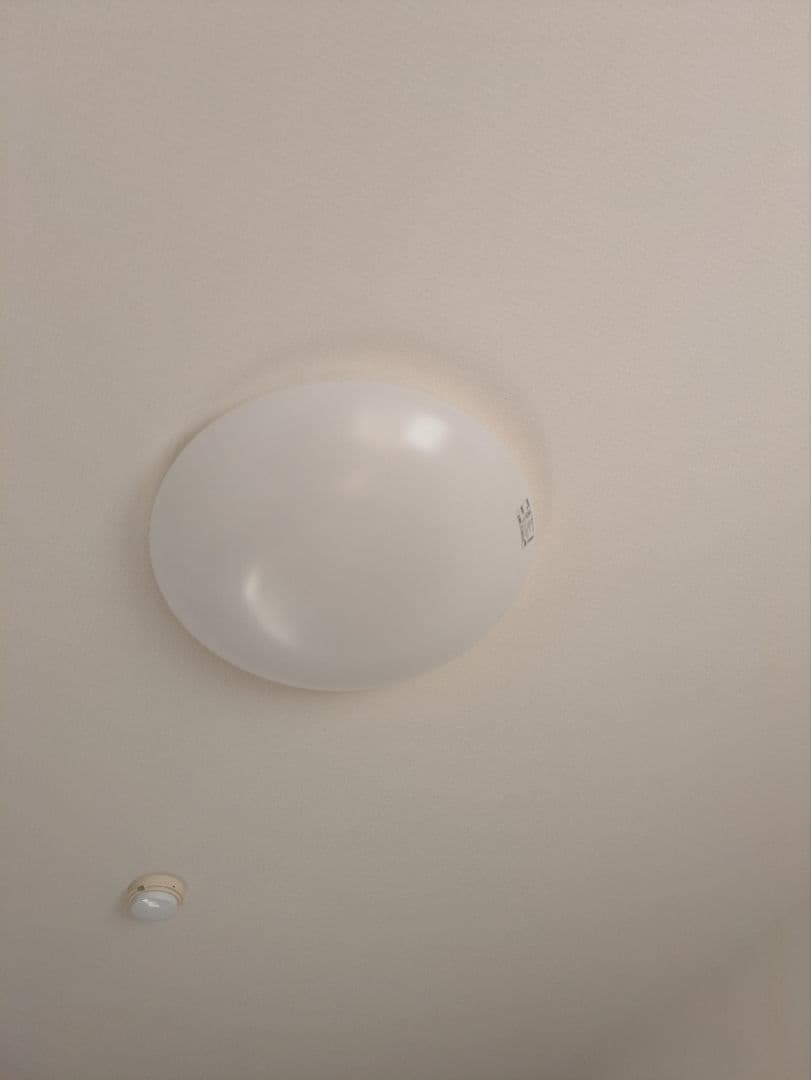 ODELIC OX9747LDR シーリングライト 直径500mm