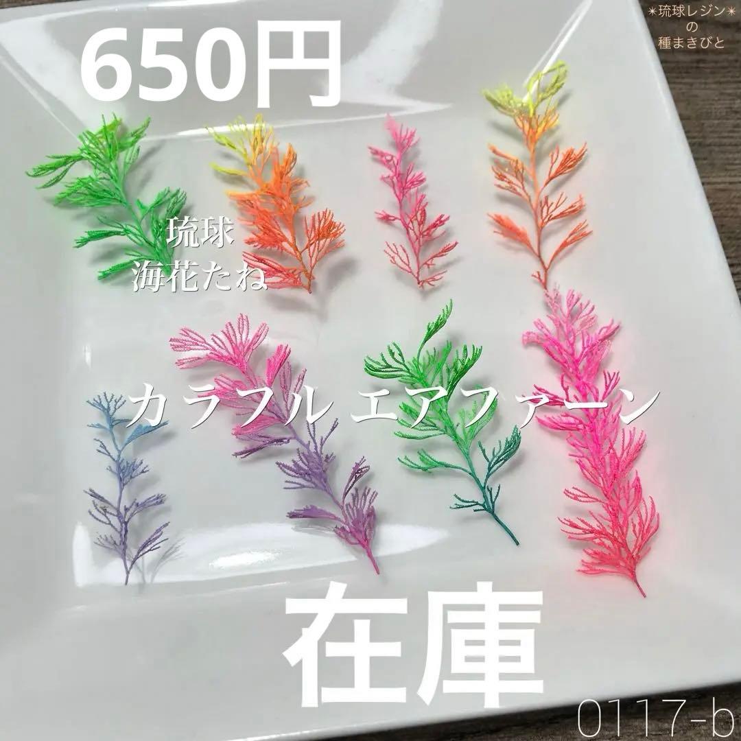 琉球*海花セール　カラフル エアファーン　0529-1