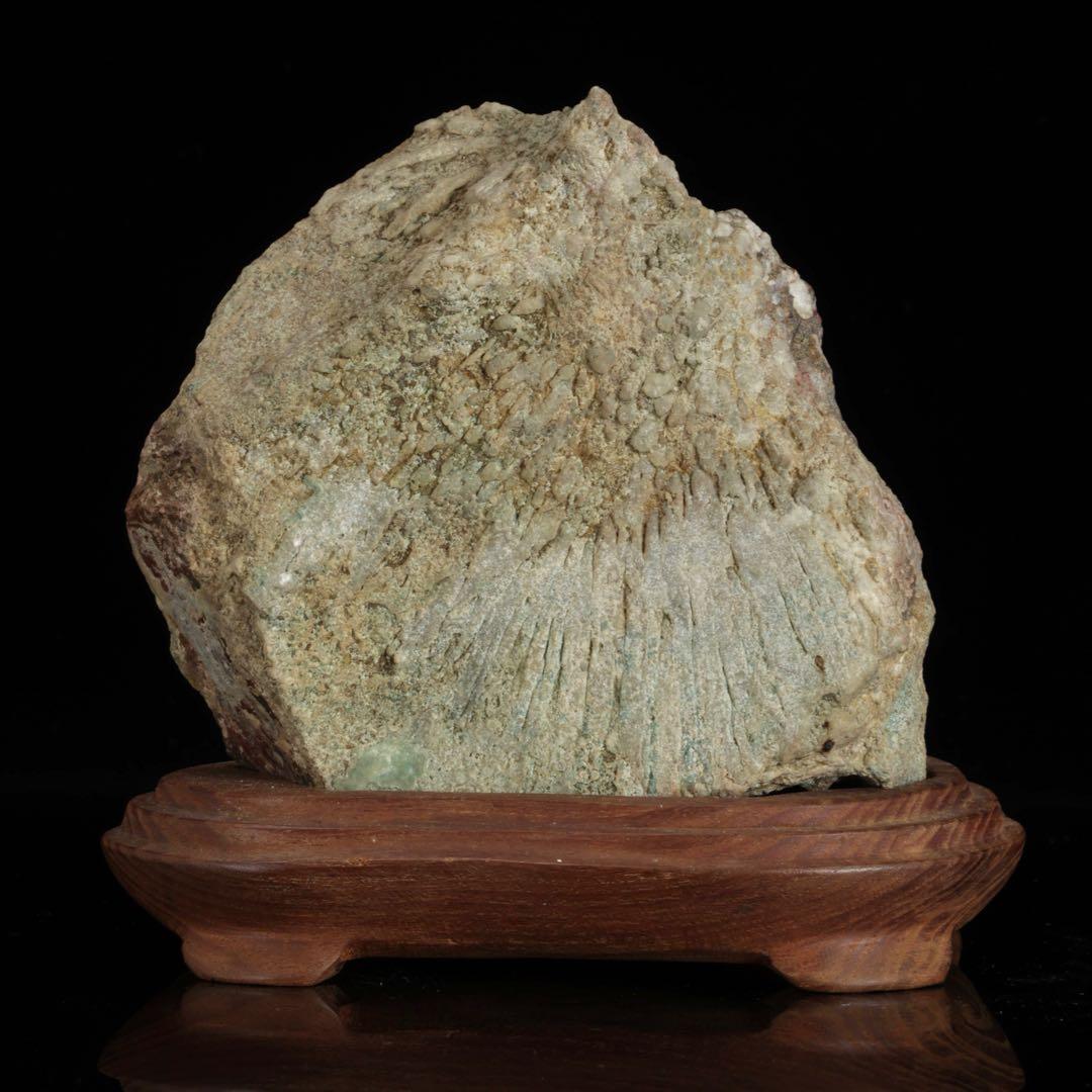 菊花石 紋石 一輪 台座付 1.4kg 鑑賞石 原石 自然石 盆石 飾石