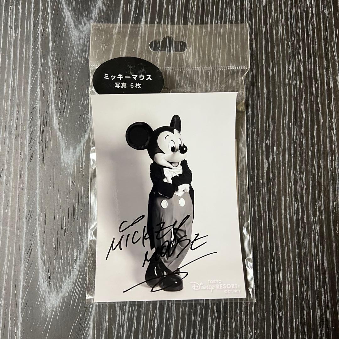 ディズニー ミッキーマウス サイン入り写真 6枚セット ブロマイド