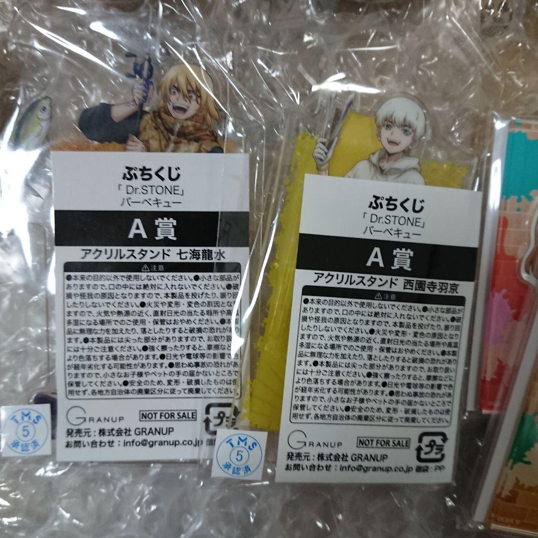 Dr.STONE 七海龍水 西園寺羽京