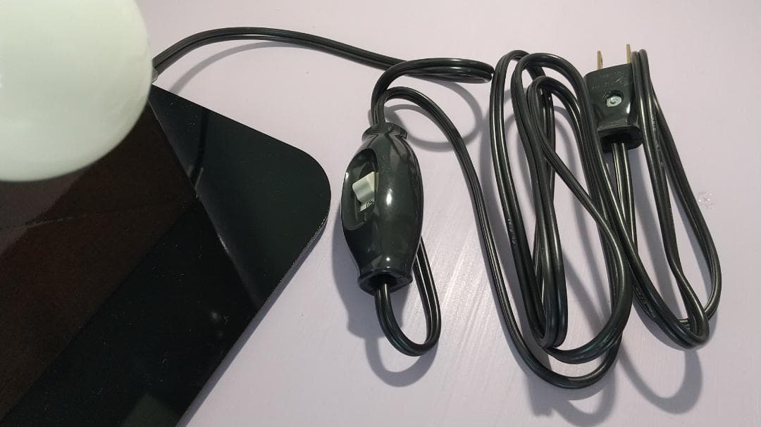 ハリウッドミラー　女優ミラー