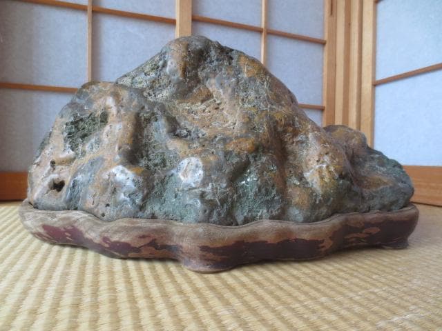 R7/09/9-1　ピリカ石　複雑形状石　大型水石　幅47㎝