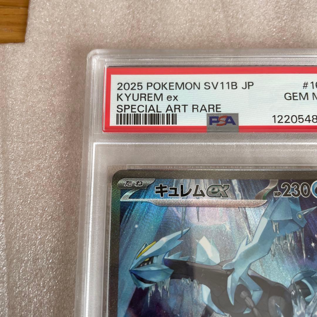 キュレムSAR PSA10