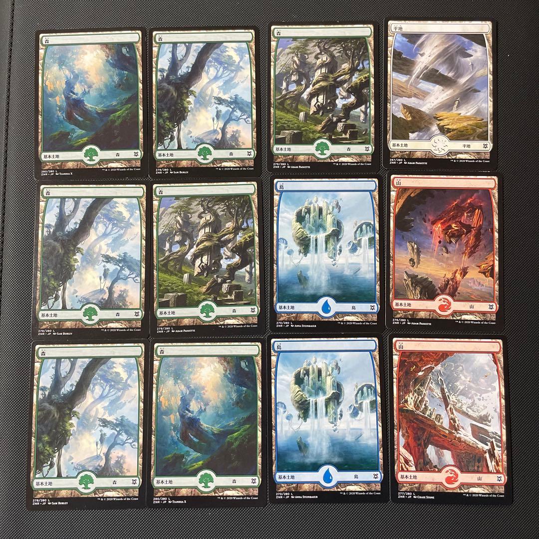 フルアート土地12枚 ゼンディカーの夜明けZNR MTG 基本土地 非FOIL