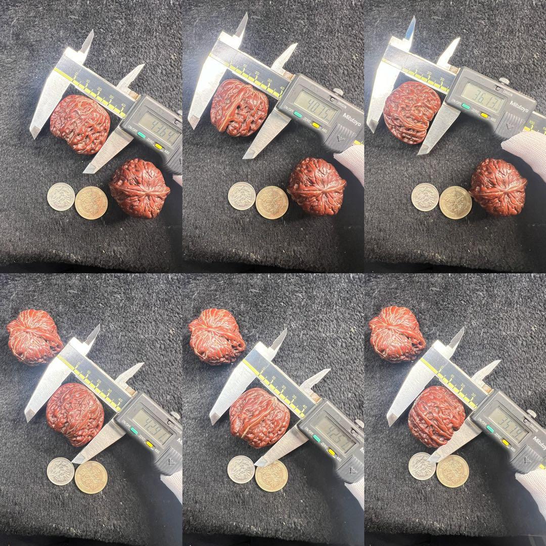 遊ぶ胡桃、文玩核桃、【ぼんやり尖い獅子クルミ】JST26103