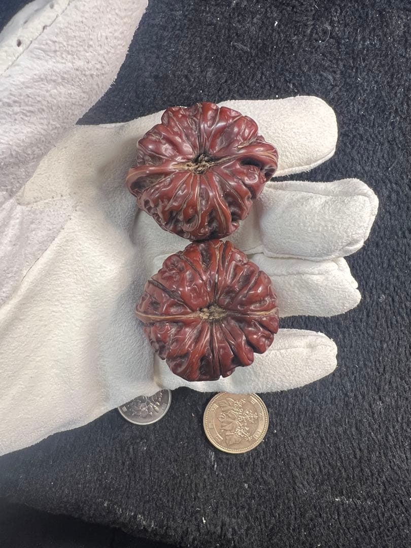 遊ぶ胡桃、文玩核桃、【ぼんやり尖い獅子クルミ】JST26103