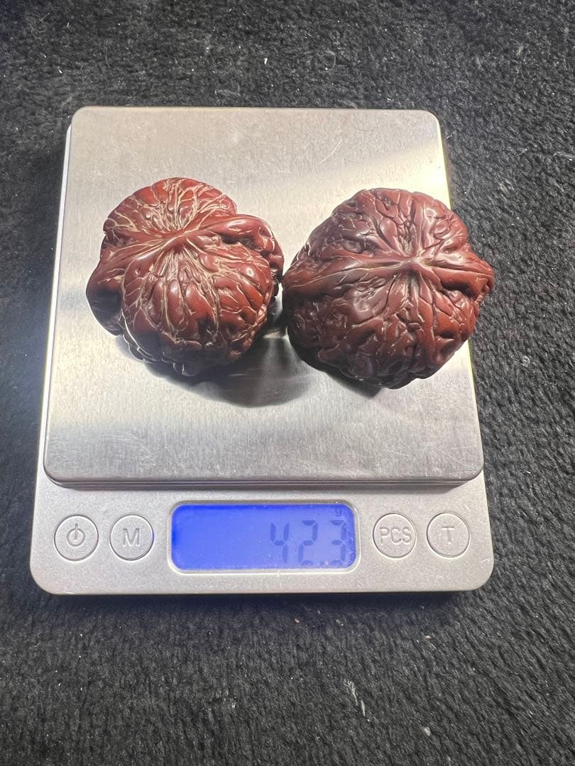 遊ぶ胡桃、文玩核桃、【ぼんやり尖い獅子クルミ】JST26103