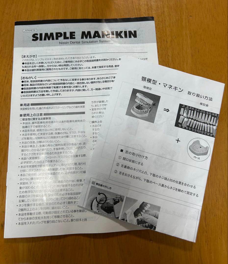 歯科 顎模型 NISSIN マネキン まとめ売り