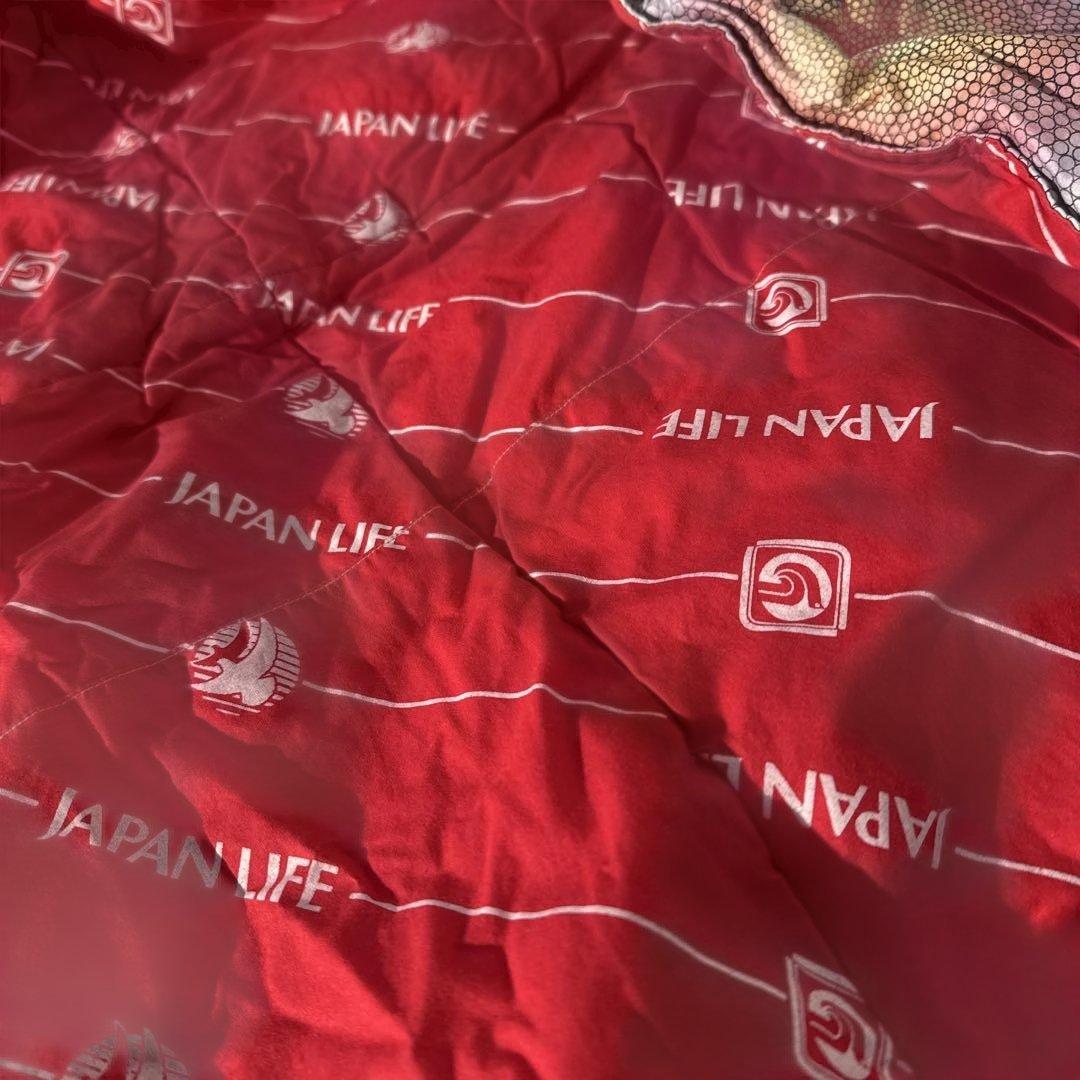 ジャパンライフ　敷きパッド 190x210cm