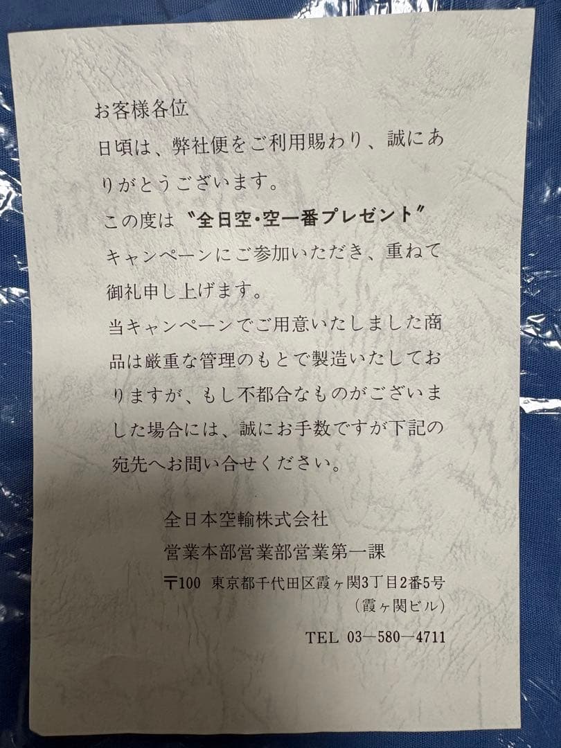 【非売品】全日空　ANA 水色エプロン Vネック ポケット付き
