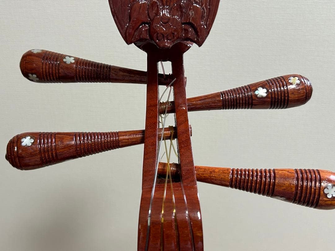 s*m様 ダンティバ ベトナム楽器 琵琶