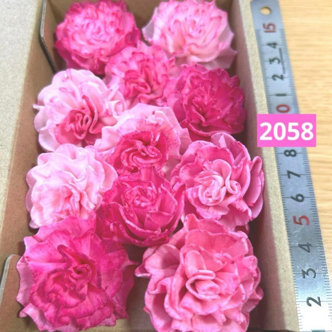 ❣️蘭❣️ページ