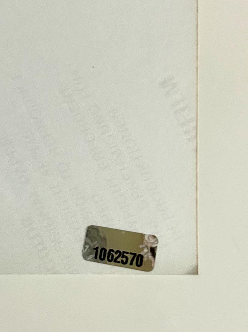 AXL ROSE直筆サイン入りポートレート◇証明書付き◇アクセルローズ