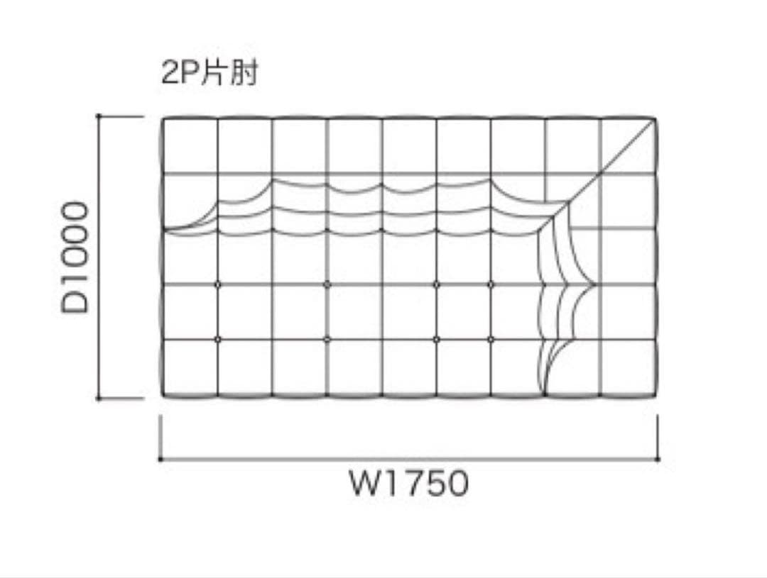✅25年12月納品✅ligne roset ROSETKashima2 2P片肘