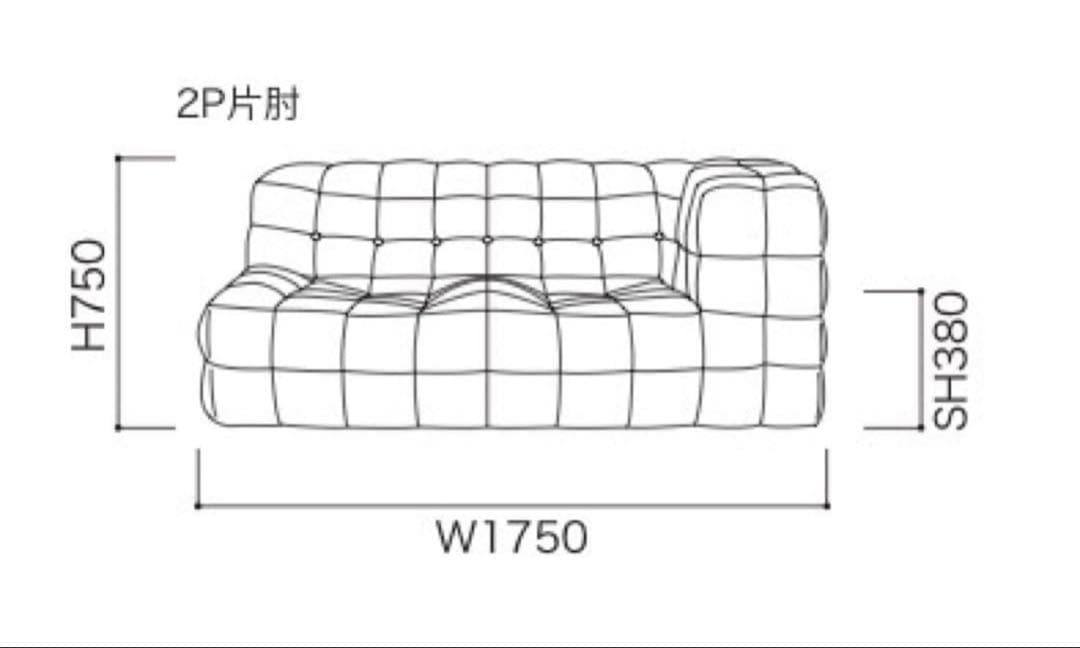 ✅25年12月納品✅ligne roset ROSETKashima2 2P片肘