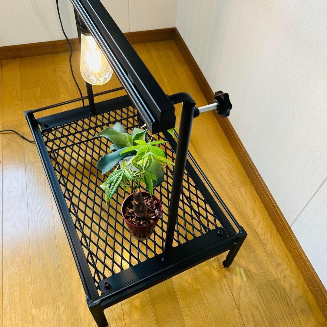 植物棚　シェルフ　アガペーラック　ダクトレール50cm 受け皿