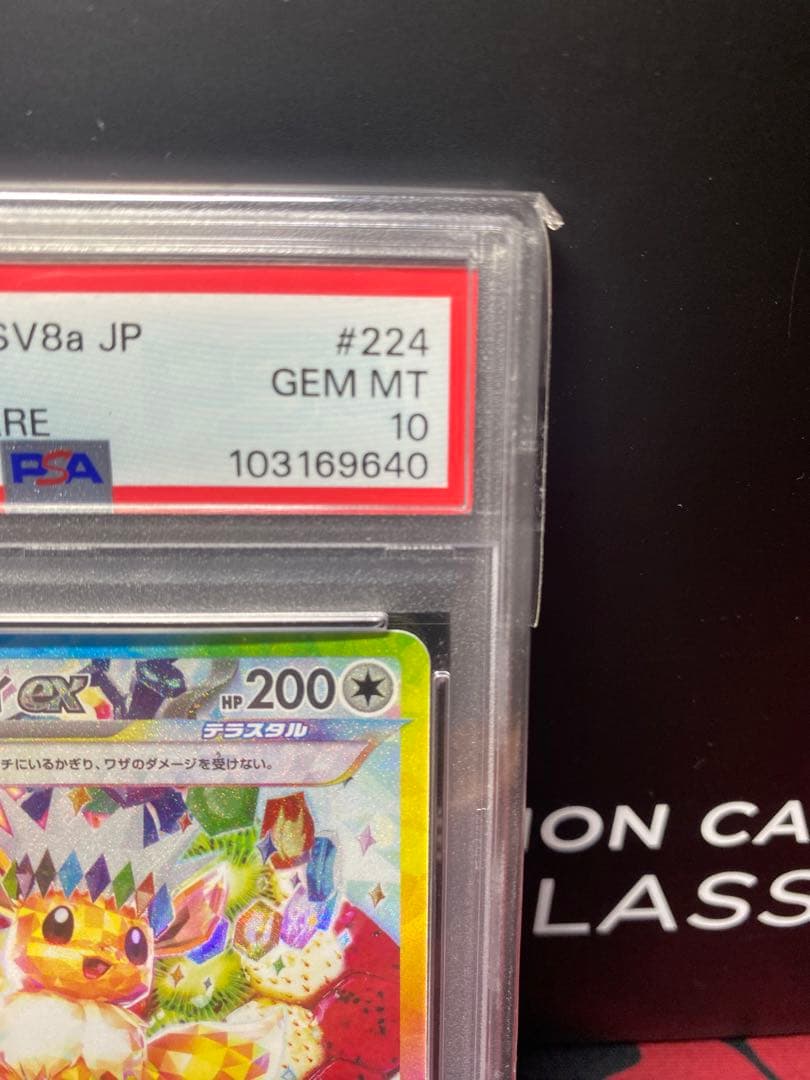 PSA10 2024 ポケモンカード イーブイex #224 GEM MT 10