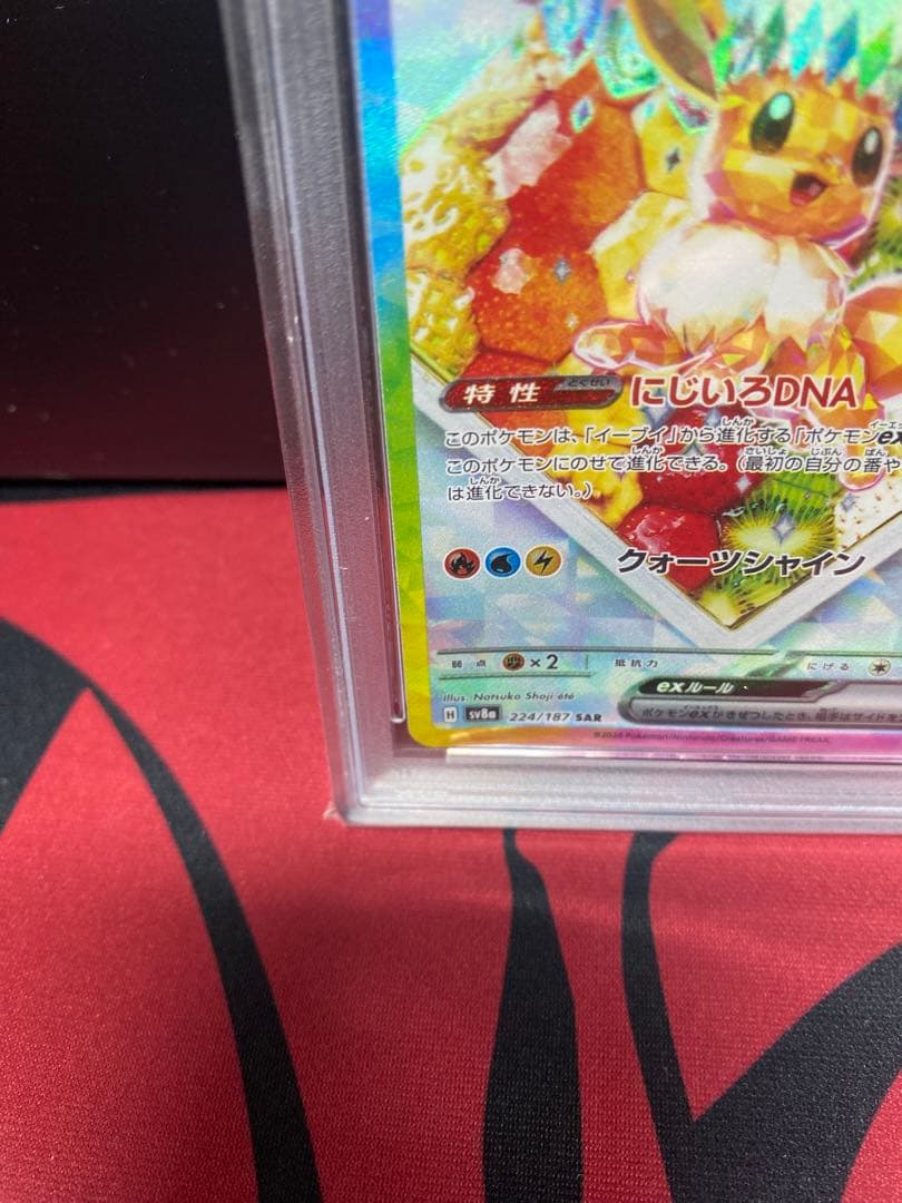 PSA10 2024 ポケモンカード イーブイex #224 GEM MT 10