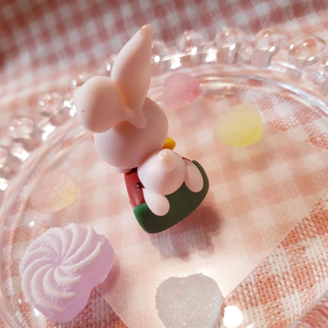 夏♪スイカ大好き♡うさぎ&あひる